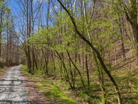 Tiny photo for 0 Greever Hollow Rd, Tazewell, TN 37879 (MLS # 1359370)