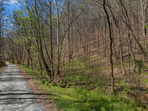 Tiny photo for 0 Greever Hollow Rd, Tazewell, TN 37879 (MLS # 1359370)