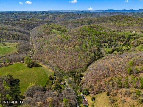 Tiny photo for 0 Greever Hollow Rd, Tazewell, TN 37879 (MLS # 1359370)