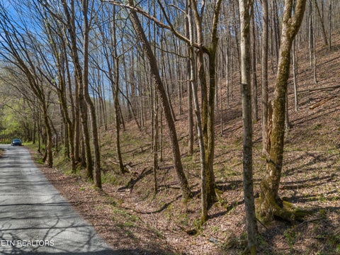 Tiny photo for 0 Greever Hollow Rd, Tazewell, TN 37879 (MLS # 1359370)