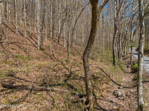 Tiny photo for 0 Greever Hollow Rd, Tazewell, TN 37879 (MLS # 1359370)