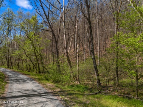 Tiny photo for 0 Greever Hollow Rd, Tazewell, TN 37879 (MLS # 1359370)