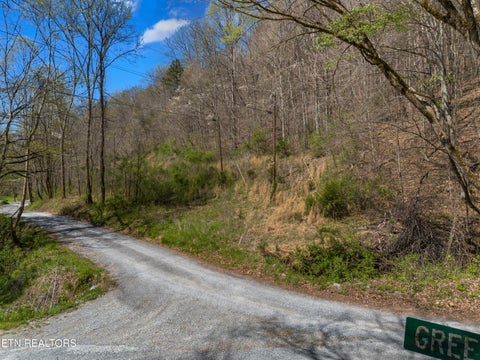 Tiny photo for 0 Greever Hollow Rd, Tazewell, TN 37879 (MLS # 1359370)