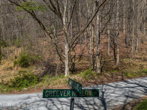 Tiny photo for 0 Greever Hollow Rd, Tazewell, TN 37879 (MLS # 1359370)