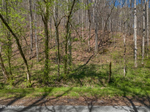 Tiny photo for 0 Greever Hollow Rd, Tazewell, TN 37879 (MLS # 1359370)