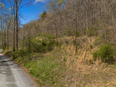 Tiny photo for 0 Greever Hollow Rd, Tazewell, TN 37879 (MLS # 1359370)