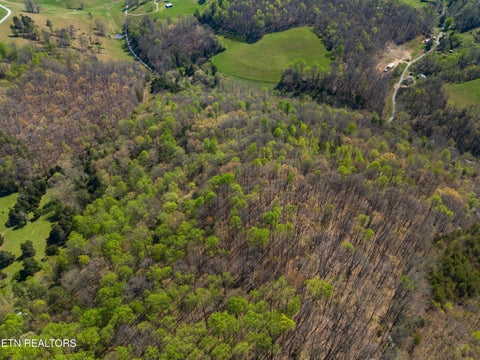 Tiny photo for 0 Greever Hollow Rd, Tazewell, TN 37879 (MLS # 1359370)