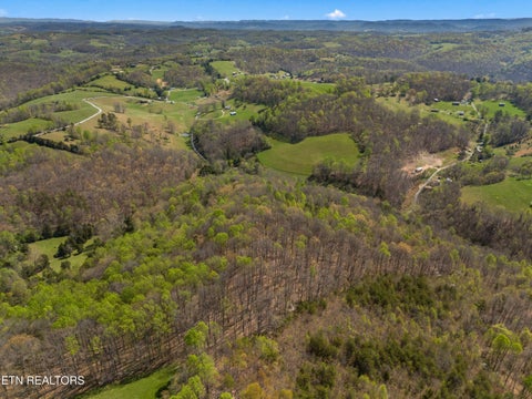 Tiny photo for 0 Greever Hollow Rd, Tazewell, TN 37879 (MLS # 1359370)