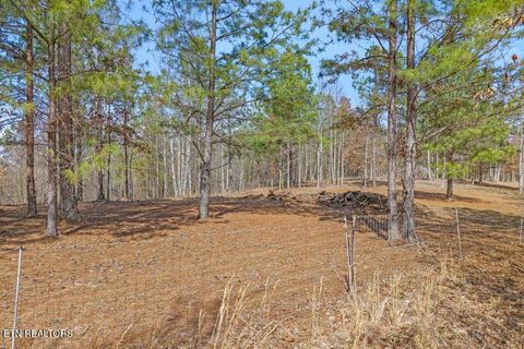 Tiny photo for 5110 S No Pone Valley Rd, Decatur, TN 37322 (MLS # 1332581)