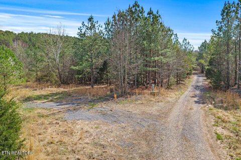 Tiny photo for 5110 S No Pone Valley Rd, Decatur, TN 37322 (MLS # 1332581)
