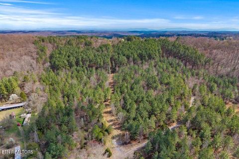 Tiny photo for 5110 S No Pone Valley Rd, Decatur, TN 37322 (MLS # 1332581)