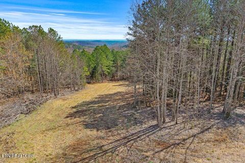 Tiny photo for 5110 S No Pone Valley Rd, Decatur, TN 37322 (MLS # 1332581)