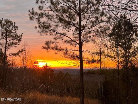 Tiny photo for 5110 S No Pone Valley Rd, Decatur, TN 37322 (MLS # 1332581)