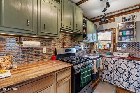 Tiny photo for 5110 S No Pone Valley Rd, Decatur, TN 37322 (MLS # 1332581)