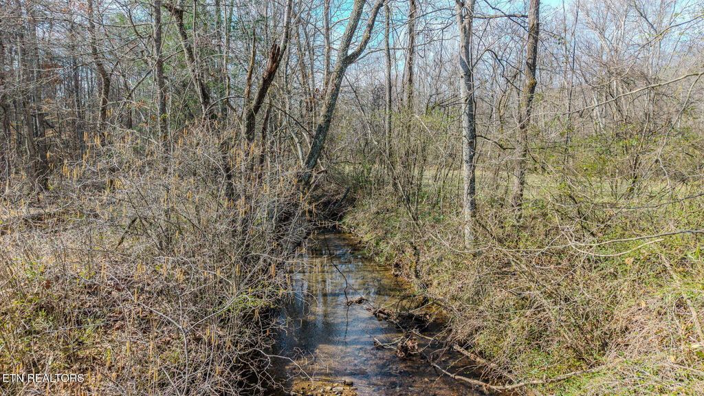 Photo of 280 Cross Creek Lane, Kingston, TN 37763 (MLS # 1332100)