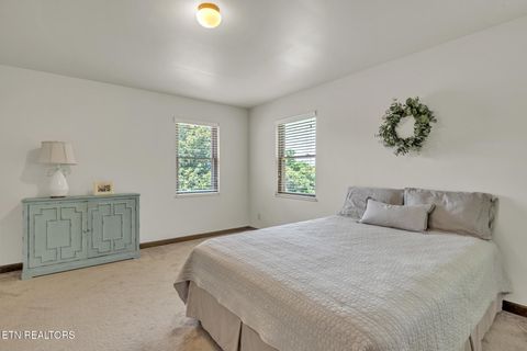 Tiny photo for 325 Lone Ridge Lane, Clinton, TN 37716 (MLS # 1328794)