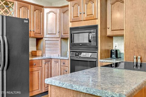 Tiny photo for 325 Lone Ridge Lane, Clinton, TN 37716 (MLS # 1328794)