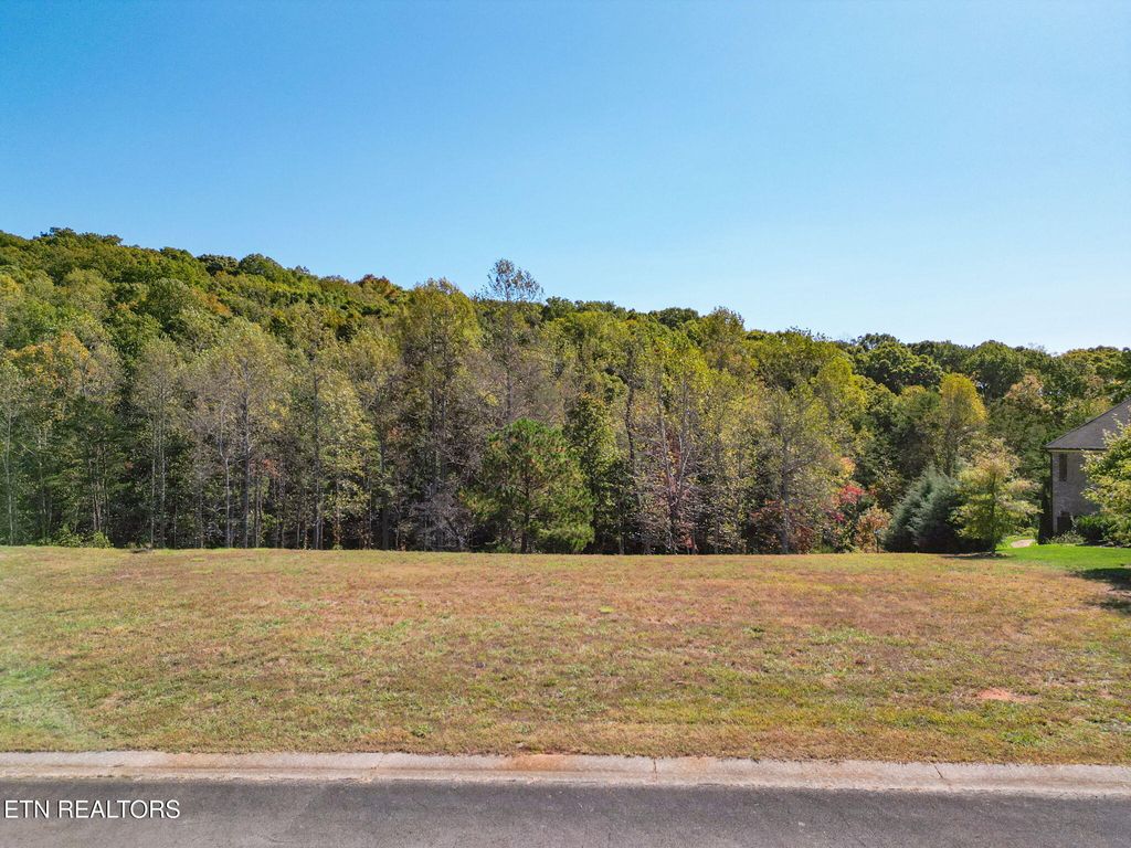 Photo of 516 Beckets Way, Lenoir City, TN 37772 (MLS # 1320466)