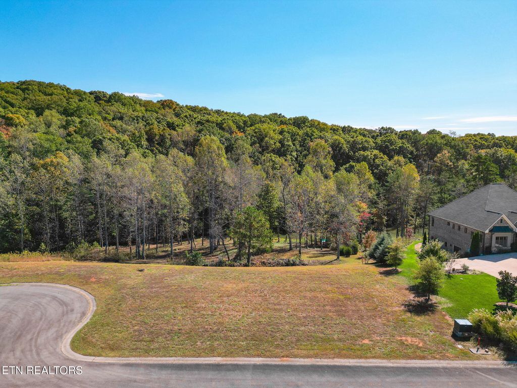 Photo of 516 Beckets Way, Lenoir City, TN 37772 (MLS # 1320466)