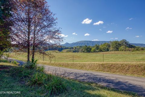 Tiny photo for 2720 Early Rd, Newport, TN 37821 (MLS # 1317755)