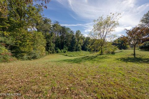 Tiny photo for 2720 Early Rd, Newport, TN 37821 (MLS # 1317755)