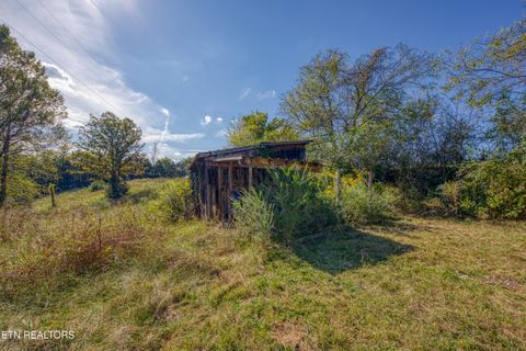 Tiny photo for 2720 Early Rd, Newport, TN 37821 (MLS # 1317755)