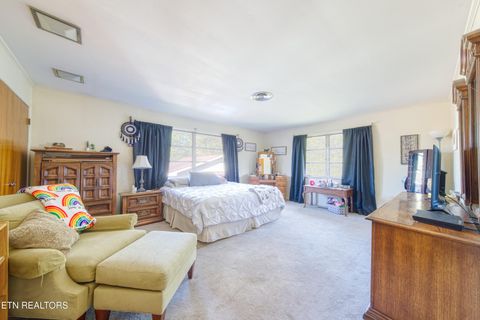 Tiny photo for 2720 Early Rd, Newport, TN 37821 (MLS # 1317755)
