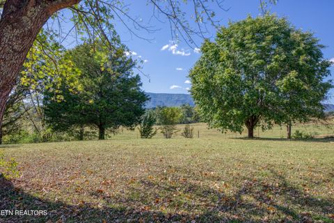 Tiny photo for 2720 Early Rd, Newport, TN 37821 (MLS # 1317755)