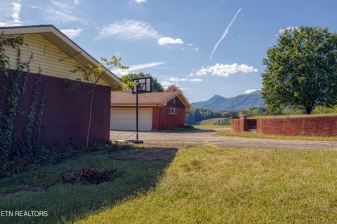 Tiny photo for 2720 Early Rd, Newport, TN 37821 (MLS # 1317755)