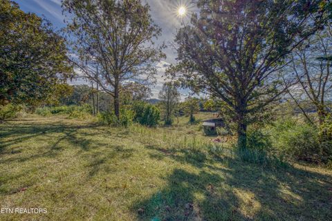 Tiny photo for 2720 Early Rd, Newport, TN 37821 (MLS # 1317755)