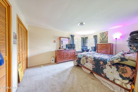 Tiny photo for 2720 Early Rd, Newport, TN 37821 (MLS # 1317755)
