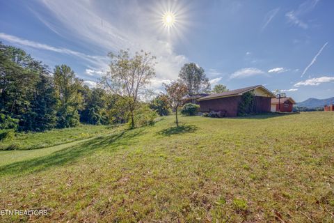 Tiny photo for 2720 Early Rd, Newport, TN 37821 (MLS # 1317755)
