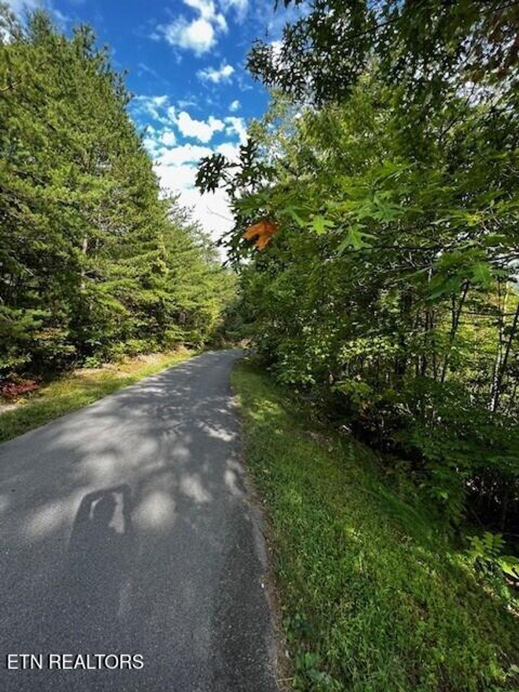 Photo of 252 Round Top Way, Sevierville, TN 37862 (MLS # 1344621)