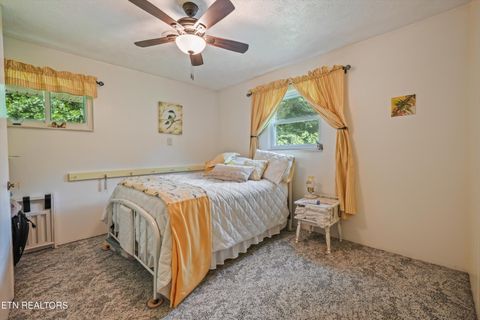 Tiny photo for 748 Christenson Rd, Deer Lodge, TN 37726 (MLS # 1346269)