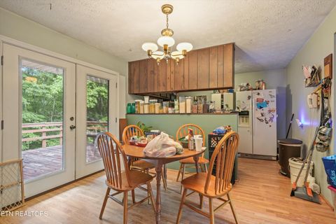 Tiny photo for 748 Christenson Rd, Deer Lodge, TN 37726 (MLS # 1346269)