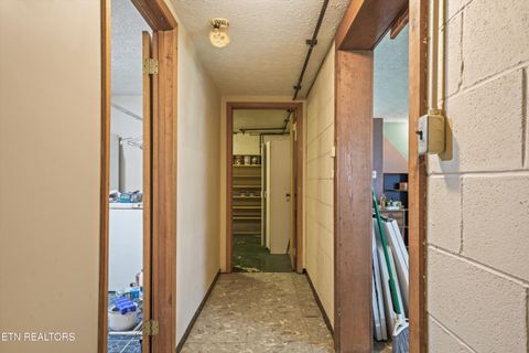 Tiny photo for 748 Christenson Rd, Deer Lodge, TN 37726 (MLS # 1346269)