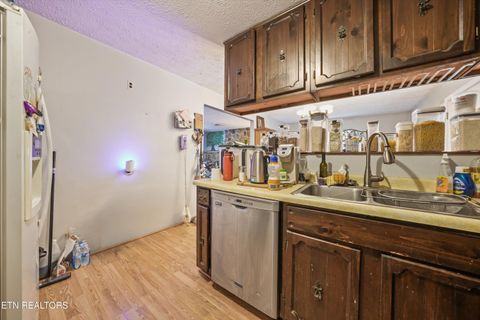 Tiny photo for 748 Christenson Rd, Deer Lodge, TN 37726 (MLS # 1346269)
