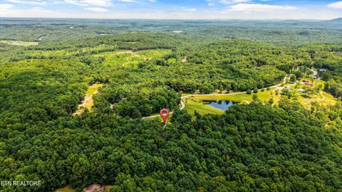 Tiny photo for 748 Christenson Rd, Deer Lodge, TN 37726 (MLS # 1346269)
