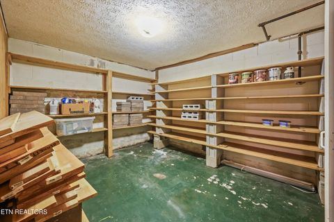 Tiny photo for 748 Christenson Rd, Deer Lodge, TN 37726 (MLS # 1346269)