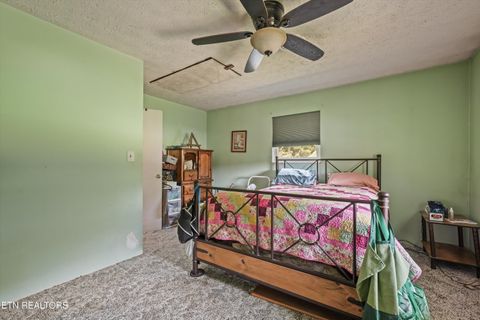 Tiny photo for 748 Christenson Rd, Deer Lodge, TN 37726 (MLS # 1346269)