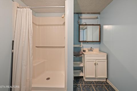Tiny photo for 748 Christenson Rd, Deer Lodge, TN 37726 (MLS # 1346269)