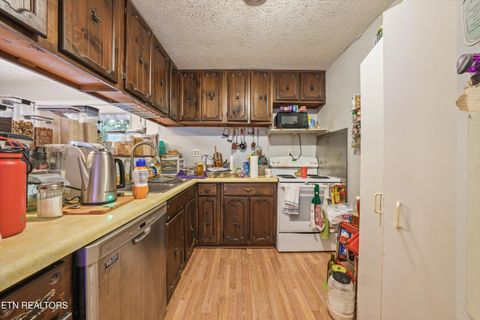 Tiny photo for 748 Christenson Rd, Deer Lodge, TN 37726 (MLS # 1346269)