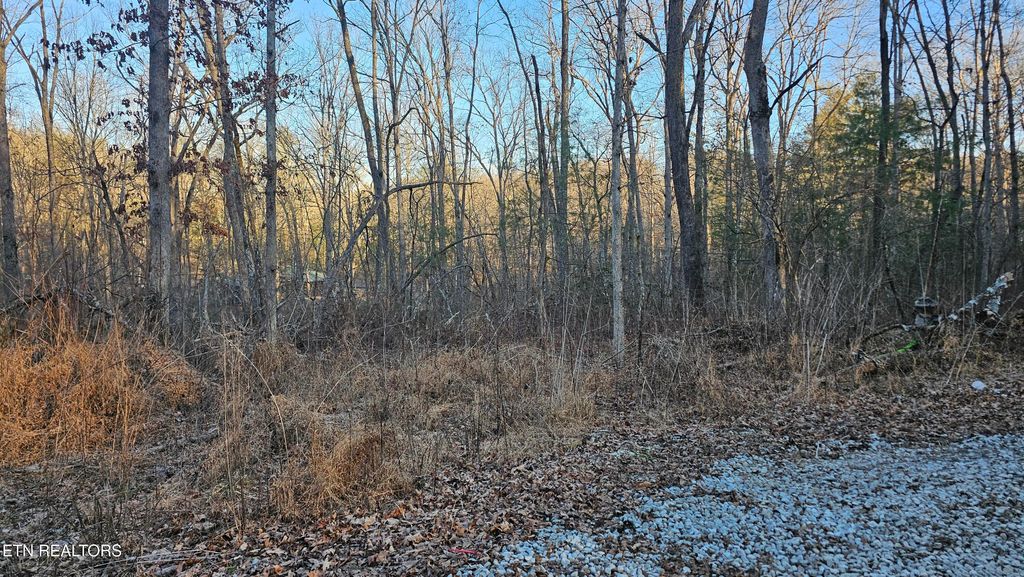 Photo of rocky Point, Crossville, TN 38555 (MLS # 1327735)