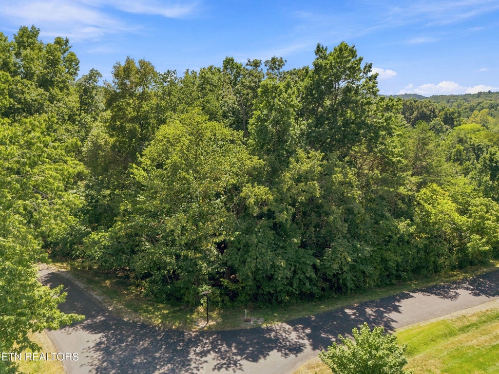 Photo of 349 Dudala Way, Loudon, TN 37774 (MLS # 1354434)
