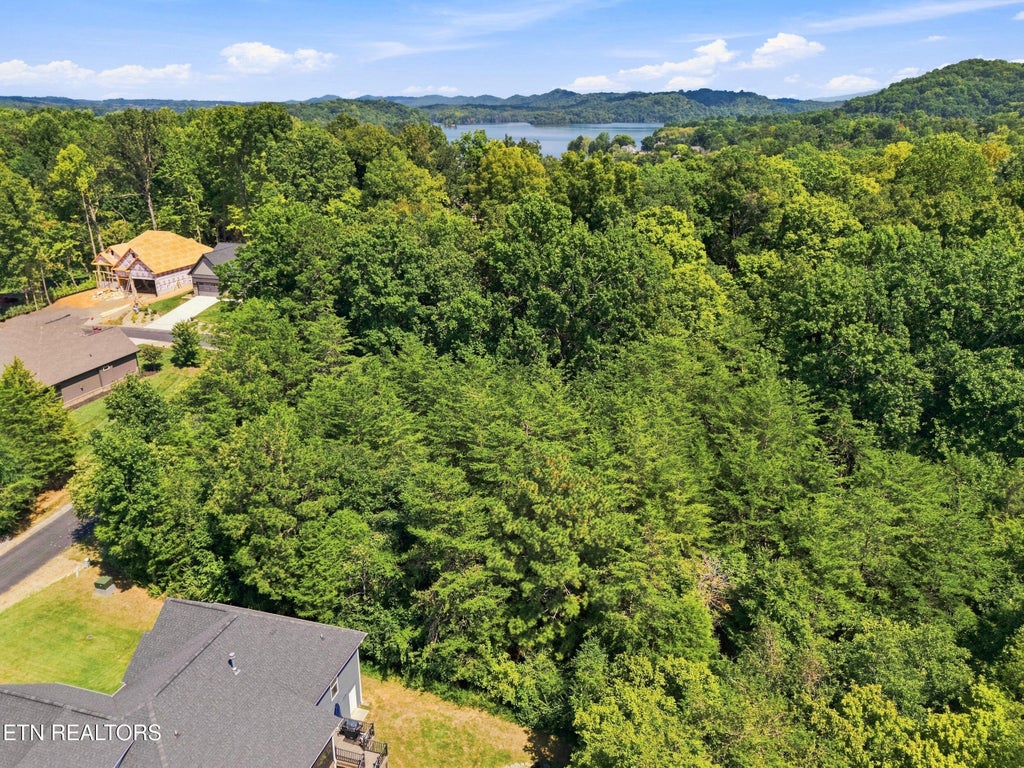Photo of 349 Dudala Way, Loudon, TN 37774 (MLS # 1354434)
