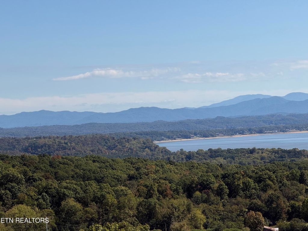 Photo of 2425 Promise Lane, White Pine, TN 37890 (MLS # 1318030)