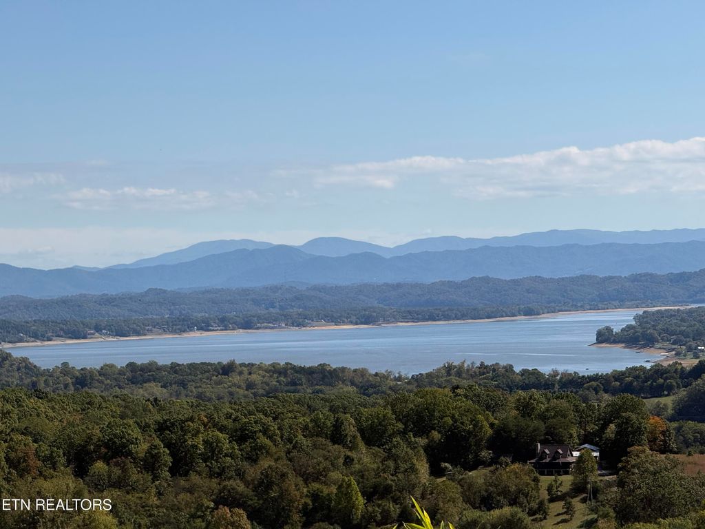 Photo of 2425 Promise Lane, White Pine, TN 37890 (MLS # 1318030)