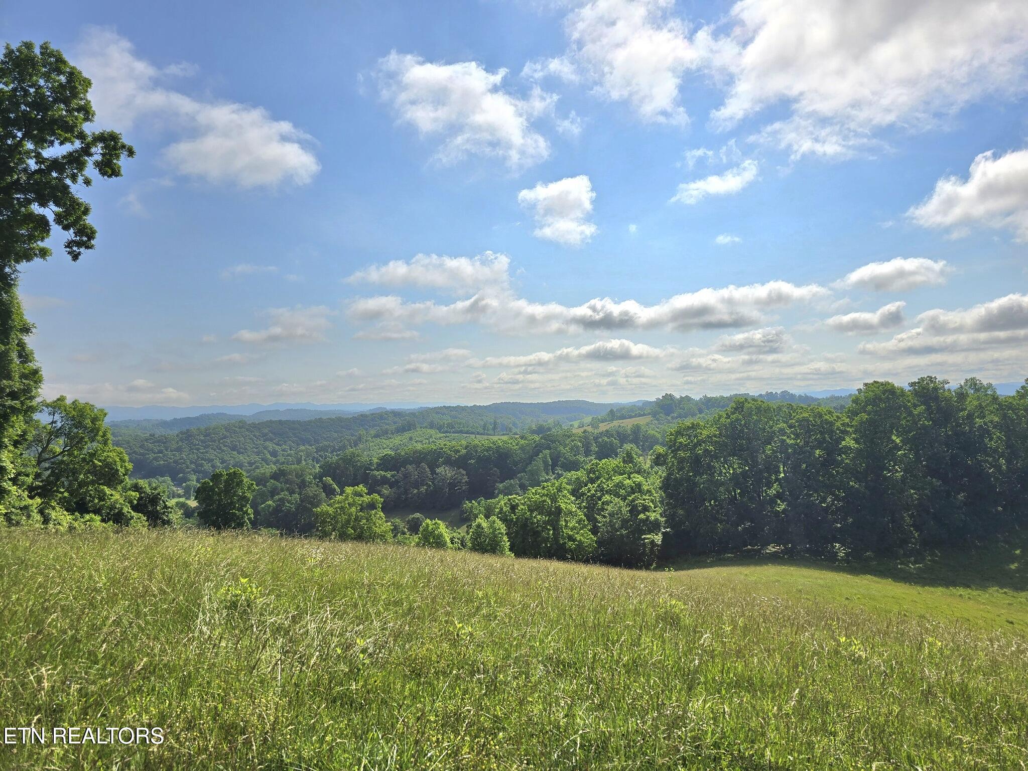 338 County Line Rd