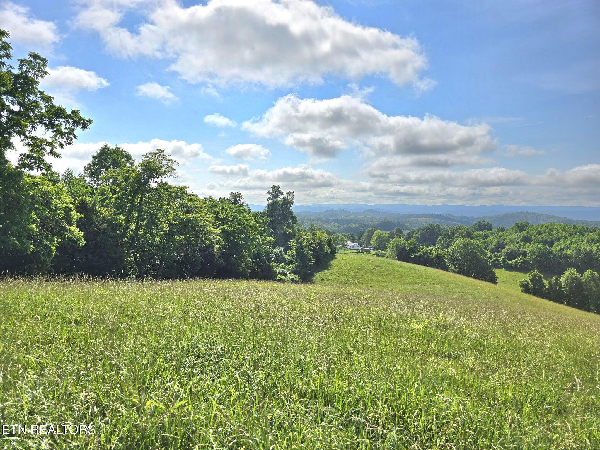 338 County Line Rd