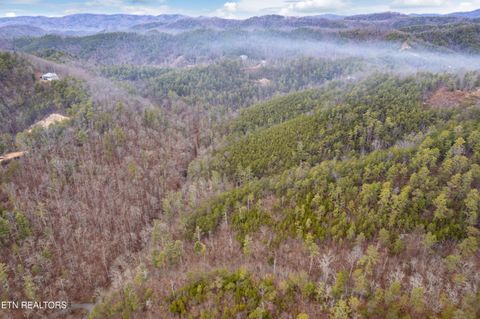 Tiny photo for Twin Oak Mountain Lane, Townsend, TN 37882 (MLS # 1338787)